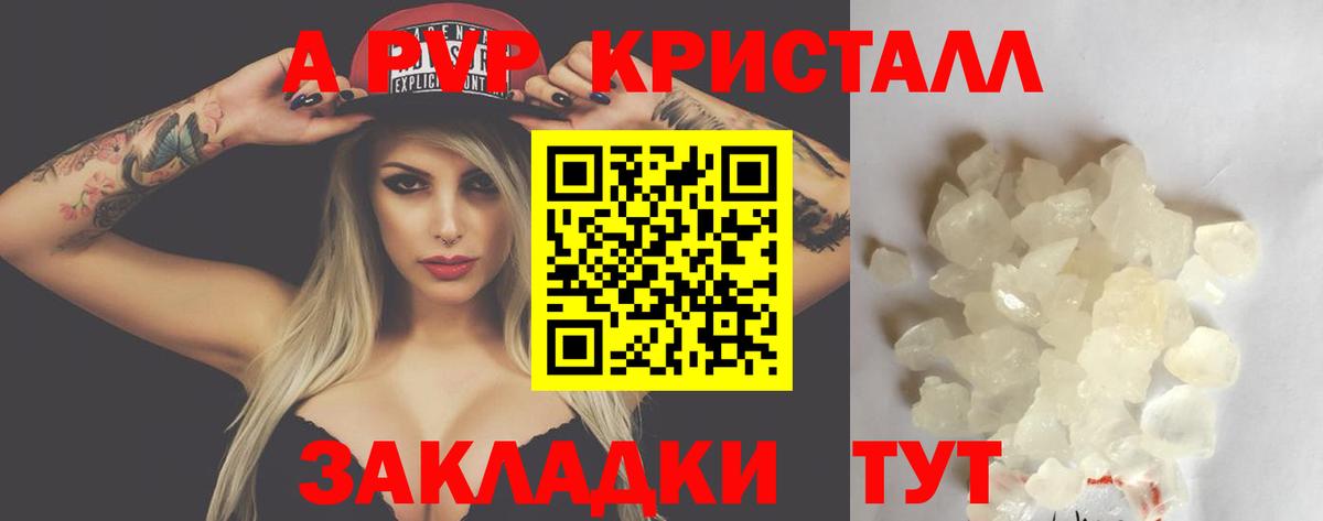 A PVP СК Ставрополь
