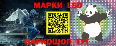 гашик Новодвинск