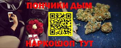 прущие грибы Нальчик