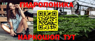 гашик Новодвинск