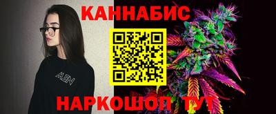 гашик Новодвинск