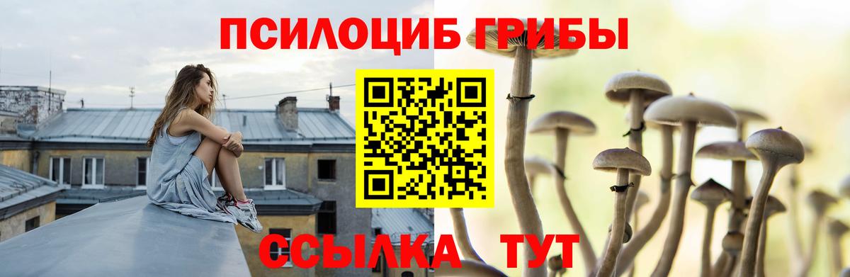 Галлюциногенные грибы GOLDEN TEACHER Ставрополь