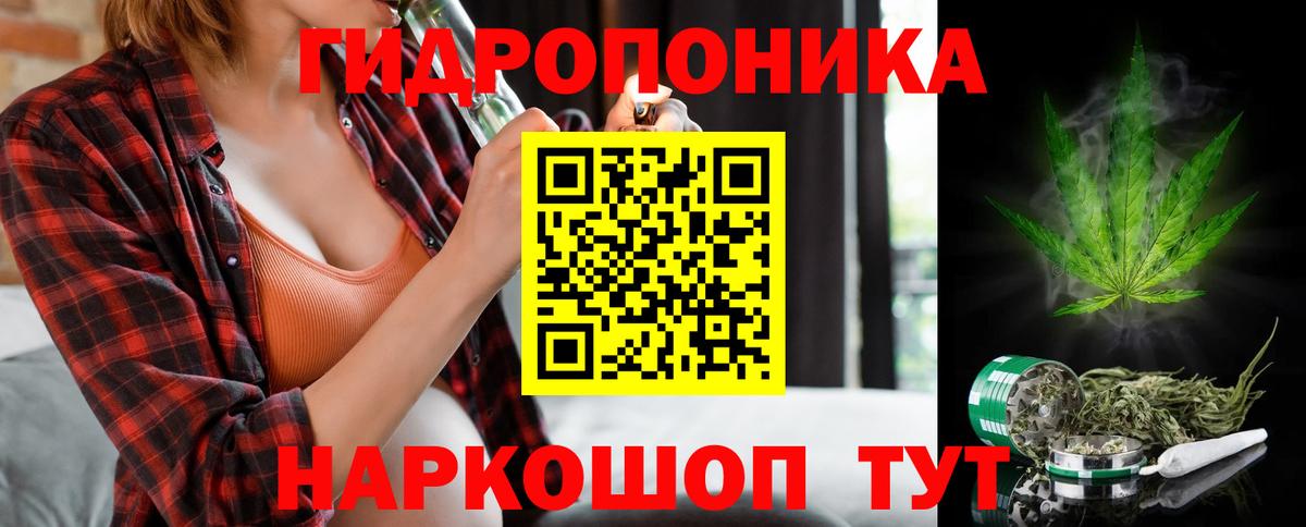 МАРИХУАНА конопля Ставрополь